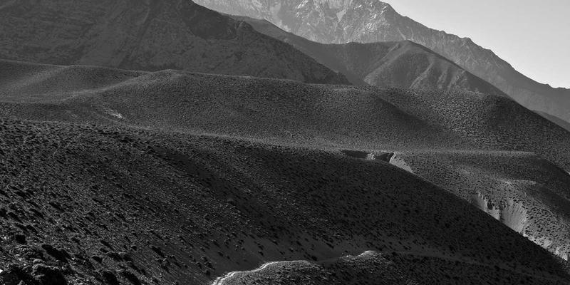 从土壤到纱线：河南棉田健康与可持续耕作模式如何重塑中国纺织品贸易