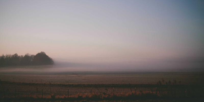 河南有机棉花种植实践与认证：打造高端纺织品出口的绿色原料基地