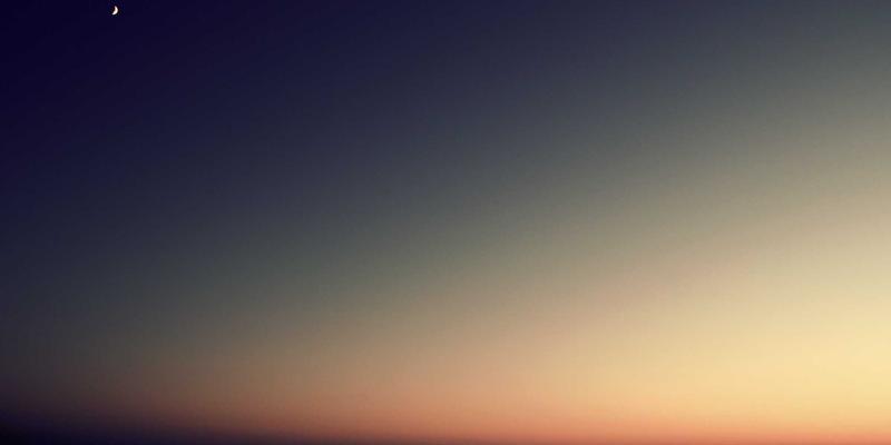 河南棉花100：纺织加工、豫棉商务与棉花采购的产业新生态