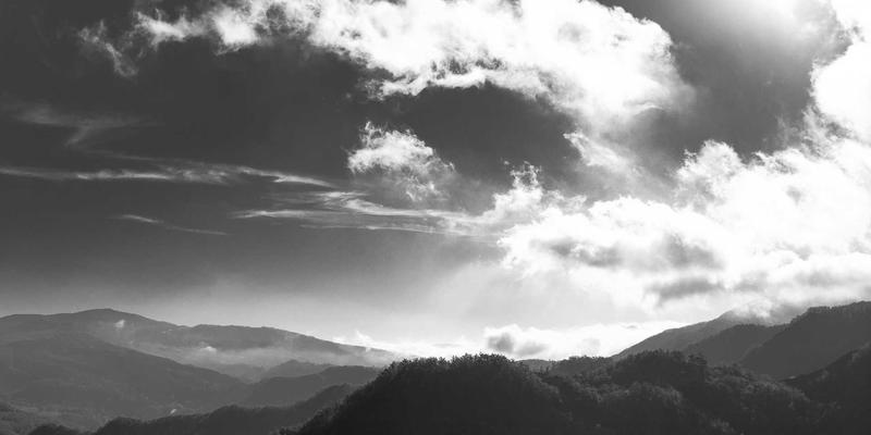 河南棉花18：从豫棉商务到全球市场，看中原纺织业的崛起之路