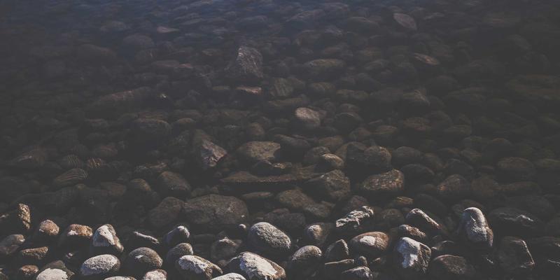 河南棉花26：纺织加工新选择与豫棉商务采购指南