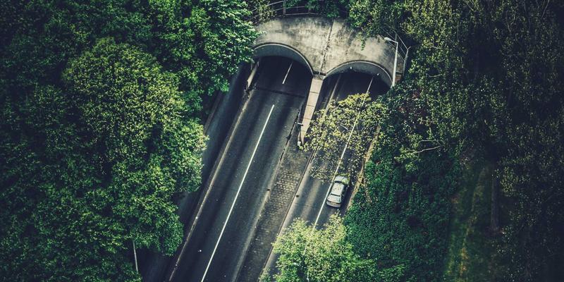 河南棉花33：纺织加工新标杆，全球供应链的关键力量