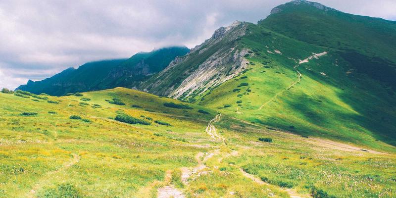 河南棉花74:纺织加工新引擎,豫棉商务引领产业升级