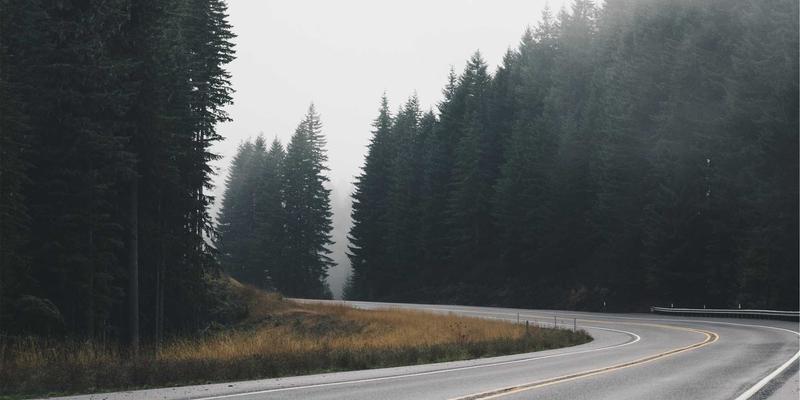 河南棉花75：中原棉业新标杆，产业升级与采购指南