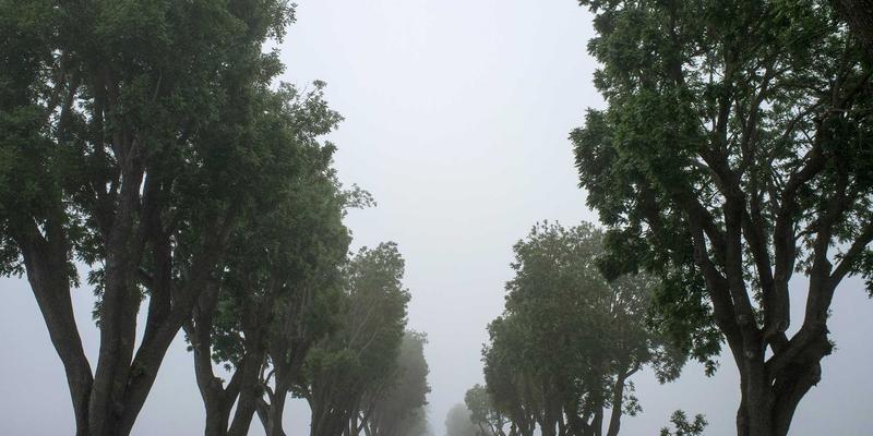 河南棉花82：纺织加工新引擎，驱动纺织品出口与豫棉商务新格局