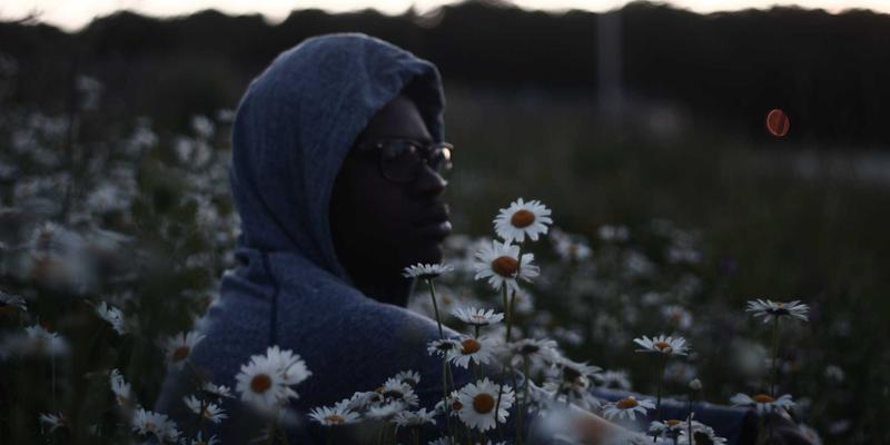 河南棉花93：纺织加工的核心原料与市场贸易新格局