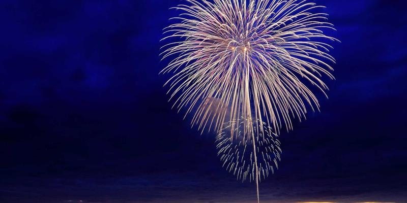 河南棉花与新疆棉花：区域协作如何重塑中国棉花采购市场格局