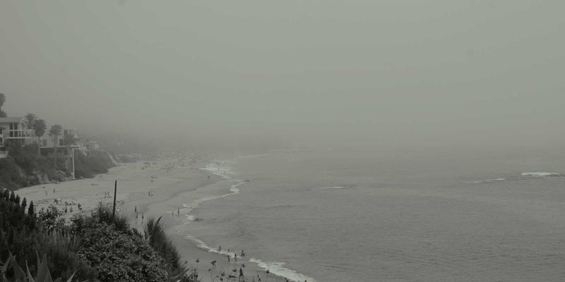 河南棉花与新疆棉花对比分析：区域优势、品质差异与采购策略