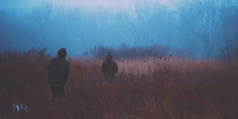 河南棉花专业合作社运营模式解析：如何整合小农户，精准对接纺织品贸易大市场