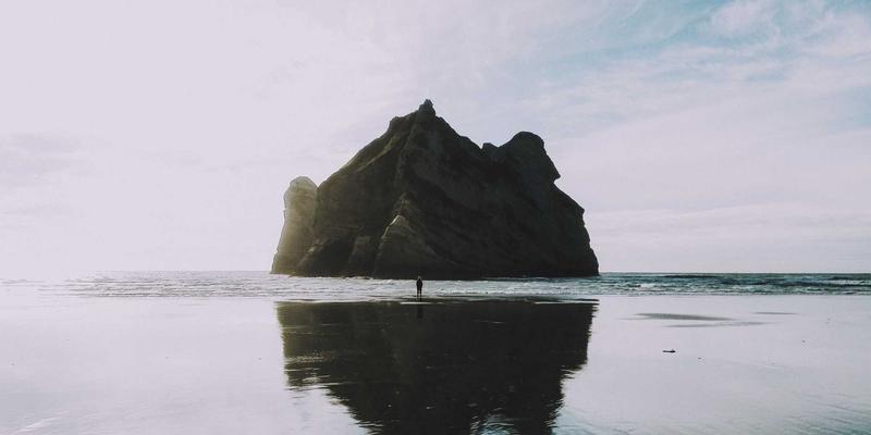 河南棉花产业全景解析：从棉田到全球市场的崛起之路