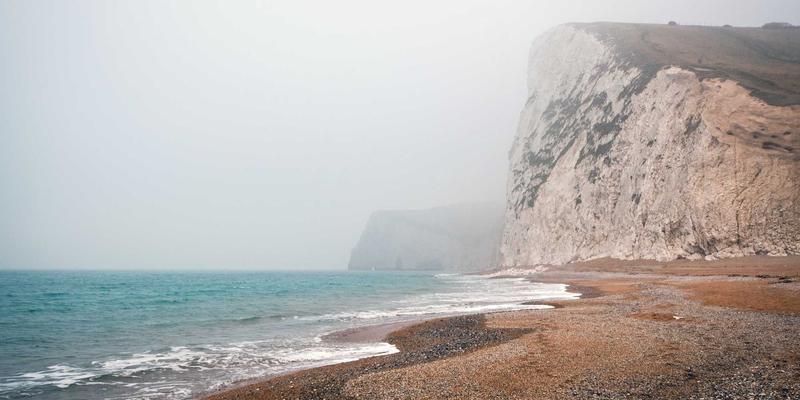 河南棉花产业劳动力结构变迁：机械化采摘推广与新型职业棉农培养如何重塑纺织加工与棉花市场