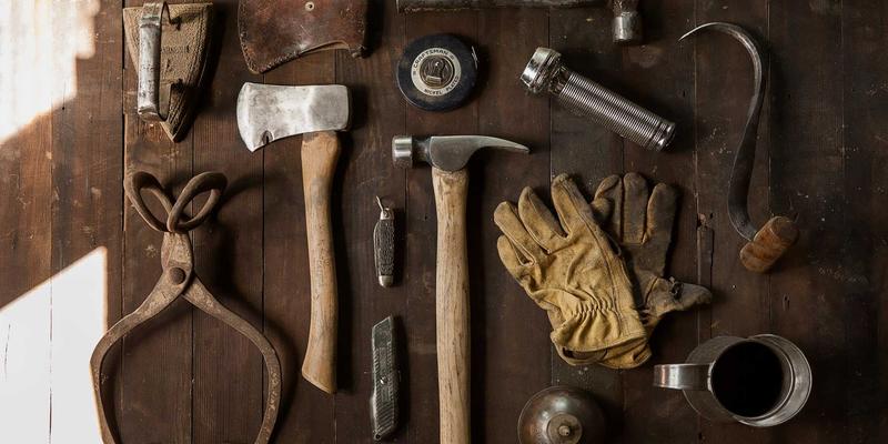 河南棉花产业新蓝海：棉籽、棉秆高值化利用途径与市场前景分析