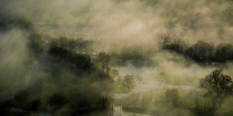 河南棉花产业案例分析：从棉田到全球的纺织品贸易之路