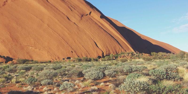河南棉花：从优质原棉到全球纺织品出口的坚实支柱