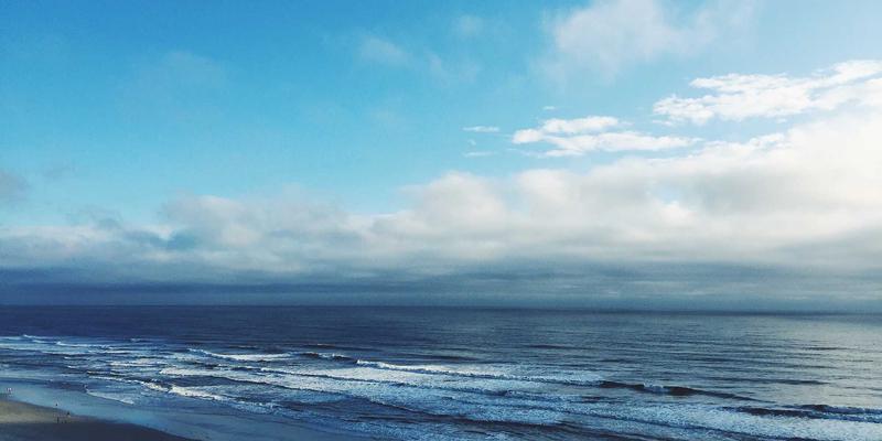 河南棉花入门：从豫棉商务到全球纺织品出口的采购指南