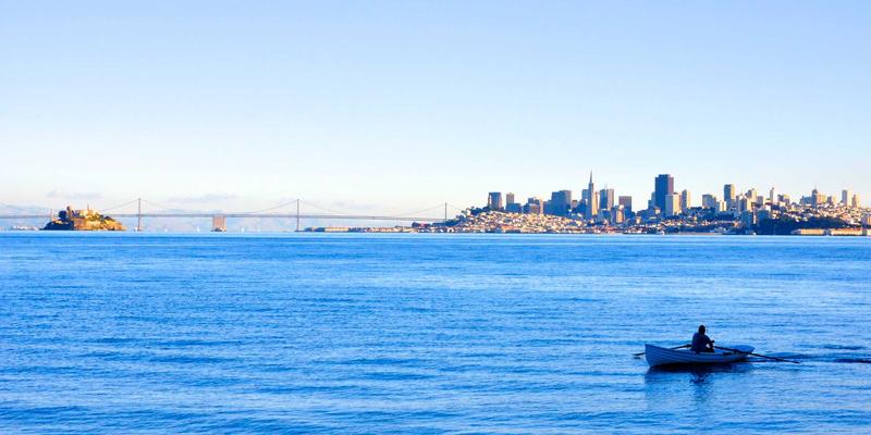 河南棉花收储政策演变：如何影响棉农收益与种植积极性，牵动棉花产业与纺织品出口