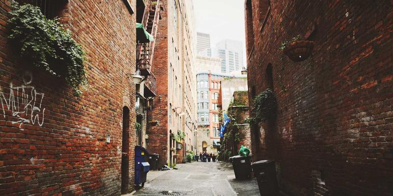 河南棉花期货市场参与策略及对棉农收入的影响研究：纺织业变革中的机遇与挑战