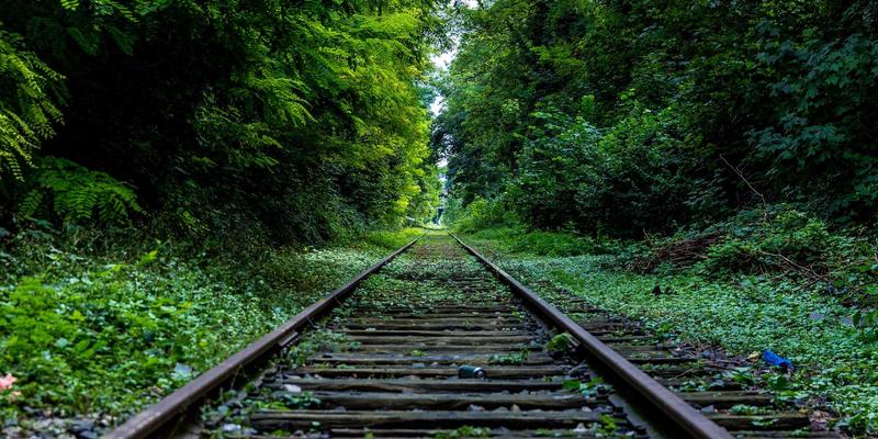 河南棉花种植保险政策解读与投保指南：稳定棉农收入，护航棉花产业与纺织品出口