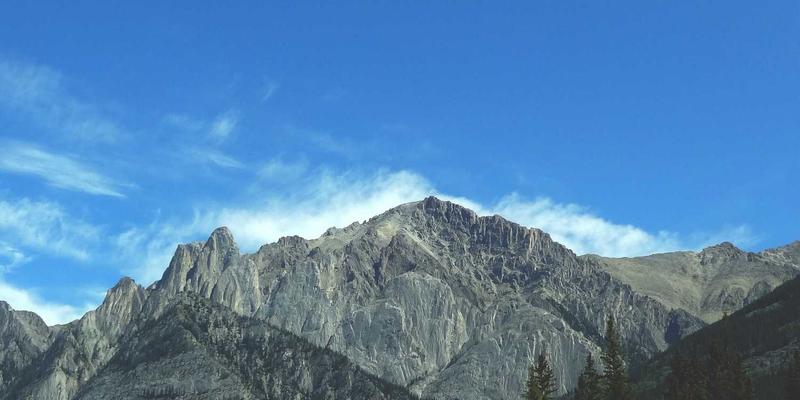 河南棉花种植历史与农耕文化传承：从传统棉田到现代农场的演变