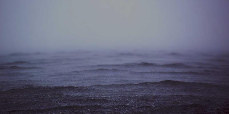 河南棉花种植历史与地域文化传承：从传统农事到现代纺织业的根基