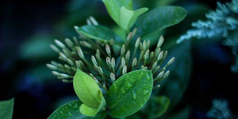 河南棉花进阶之路：从传统棉仓到现代纺织品贸易枢纽