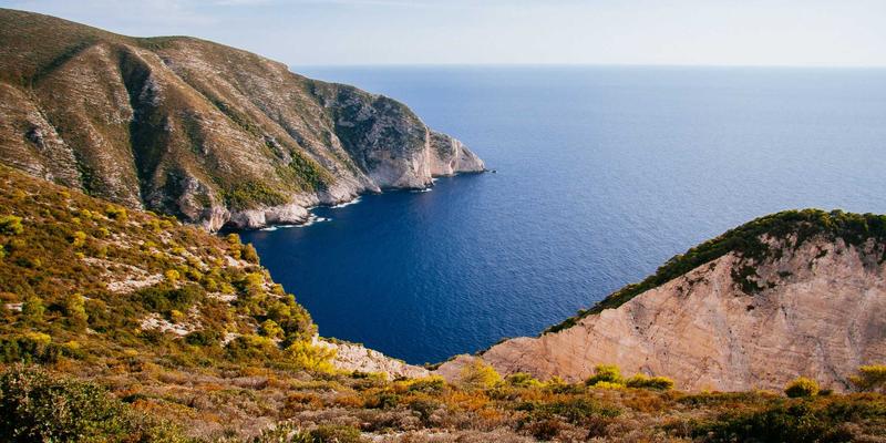 豫棉商务新引擎：河南棉花目标价格补贴政策如何保障棉农收益与振兴纺织加工产业